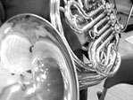 Horn